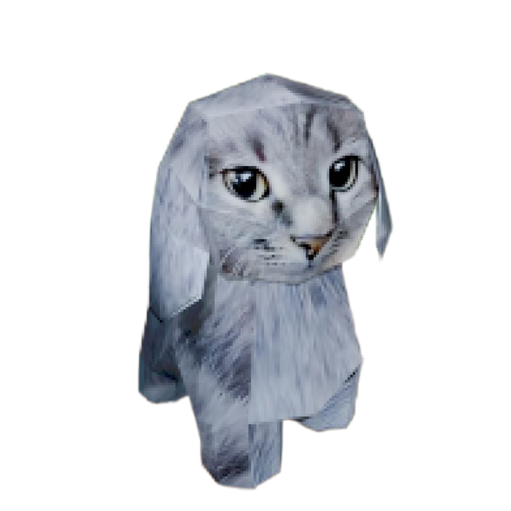 Cabbit