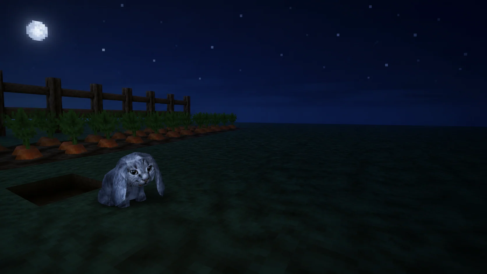 Cabbit in the garden at night