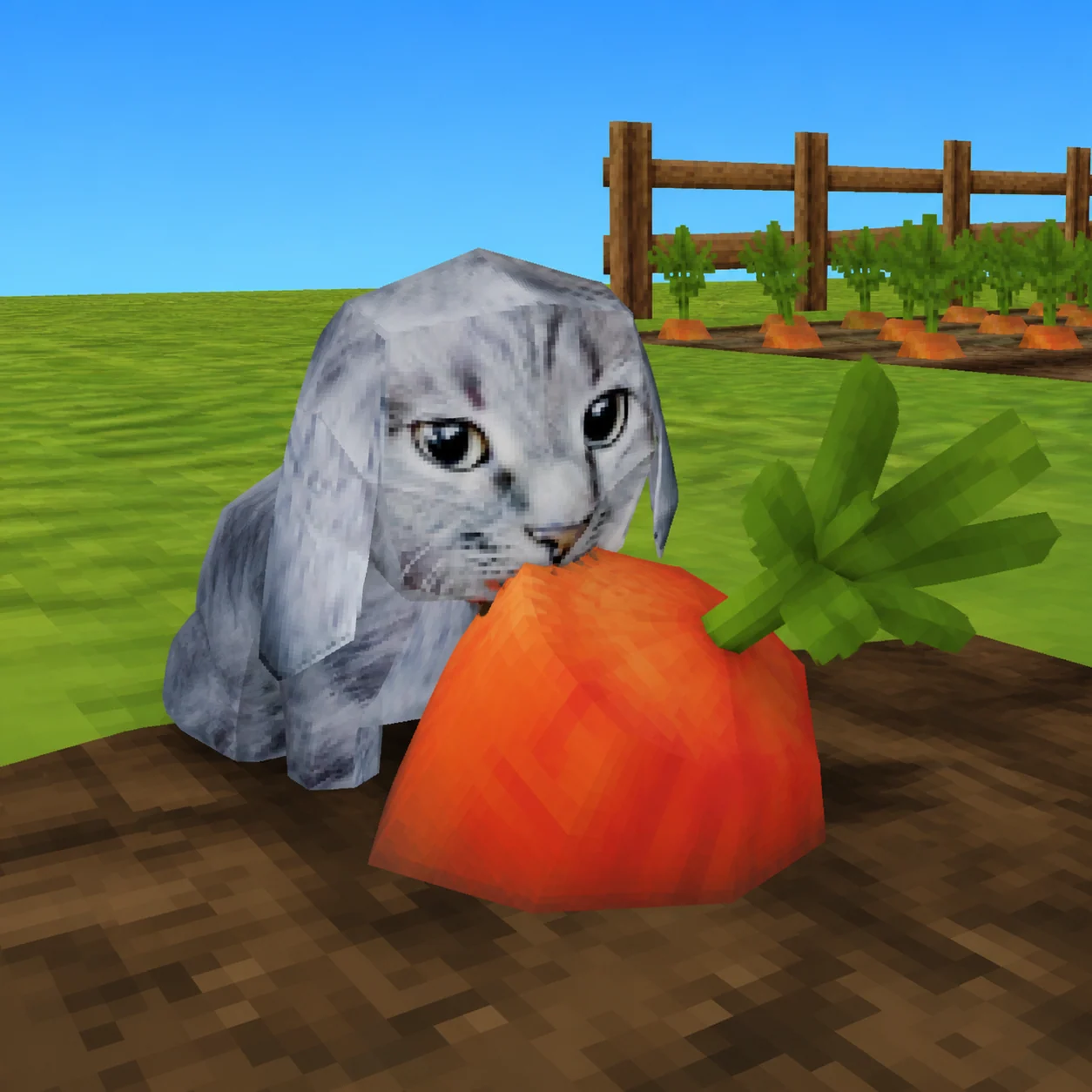 Cabbit chewing a carrot